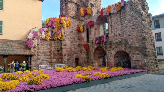 Праздник цветов в немецком городе Лар
